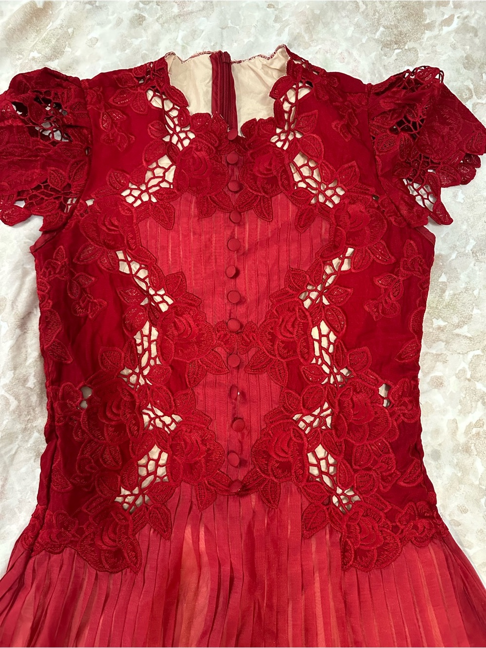Red Lace Fit & Flare Mini Dress - Picture 3 of 6